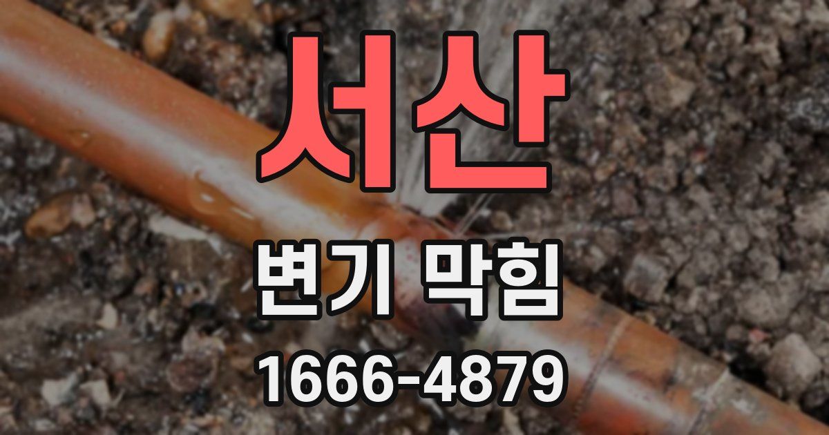 서산 변기 막힘