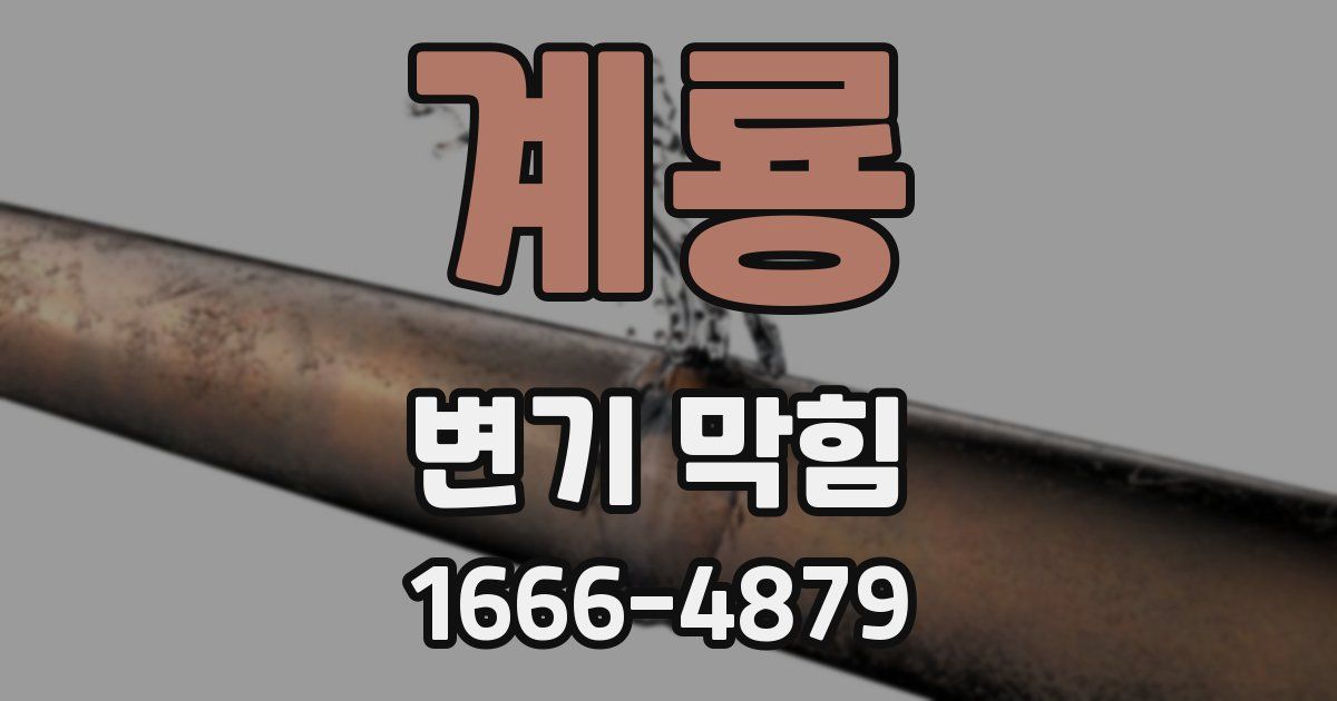 계룡 변기 막힘