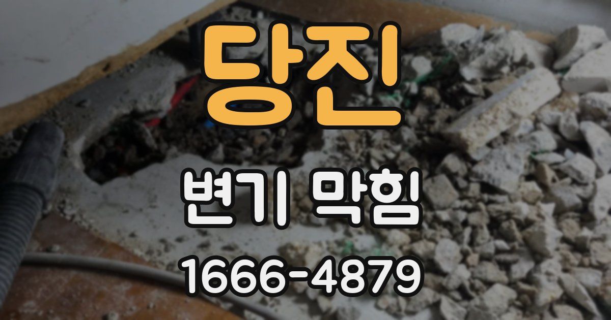 당진 변기 막힘