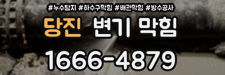 당진 변기 막힘