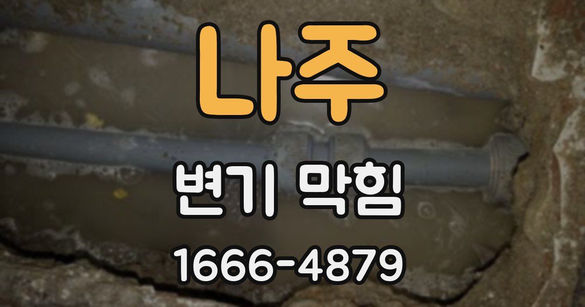 나주 변기 막힘
