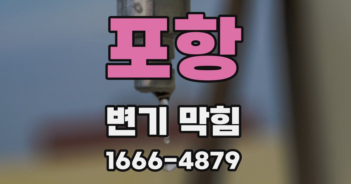 포항 변기 막힘