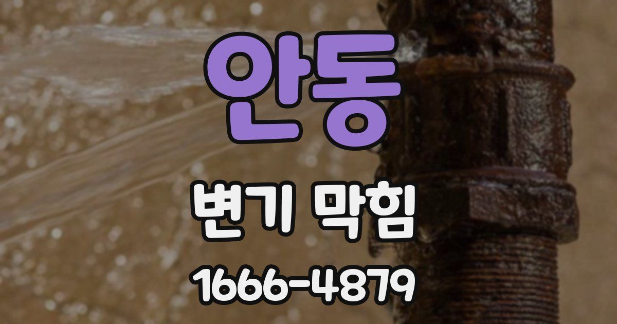 안동 변기 막힘