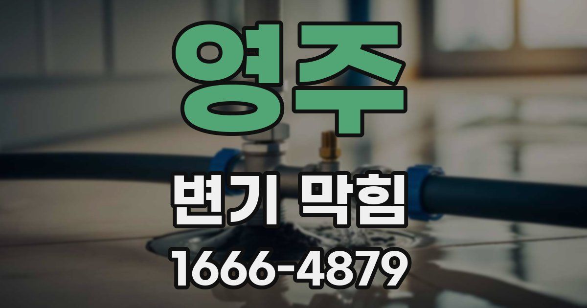 영주 변기 막힘