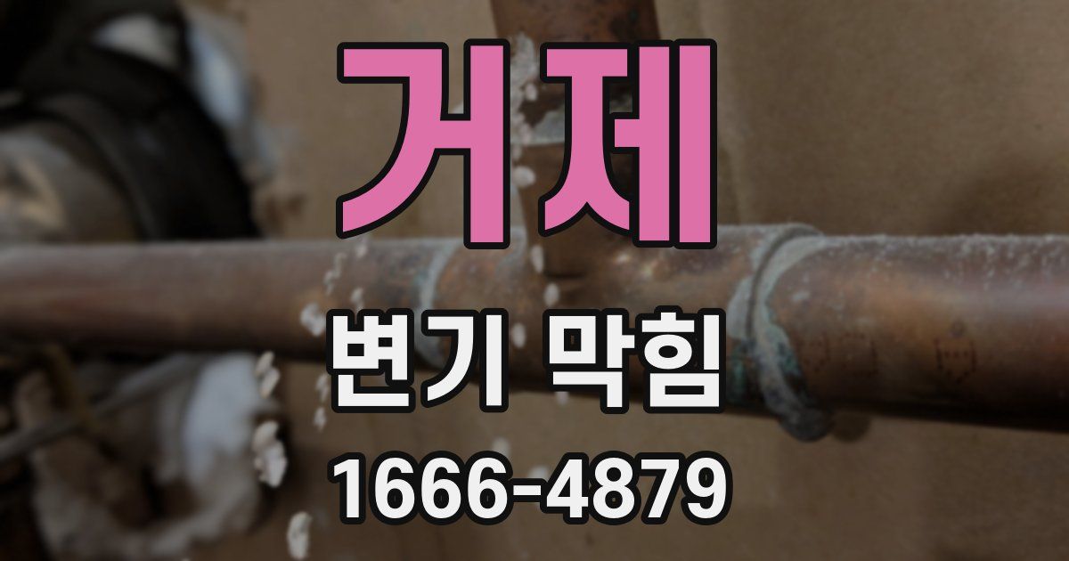 거제 변기 막힘