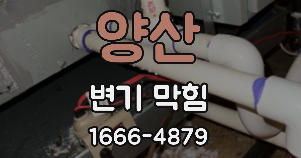 양산 변기 막힘