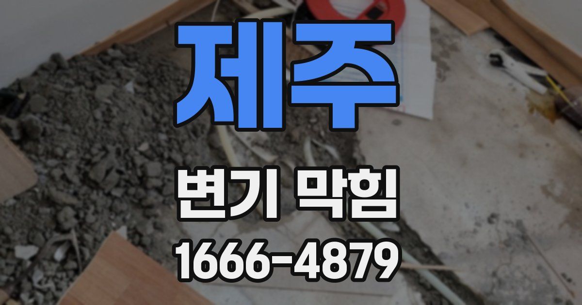 제주 변기 막힘
