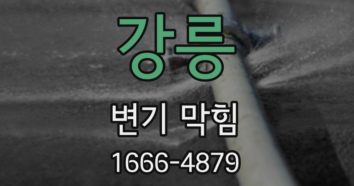 강릉 변기 막힘