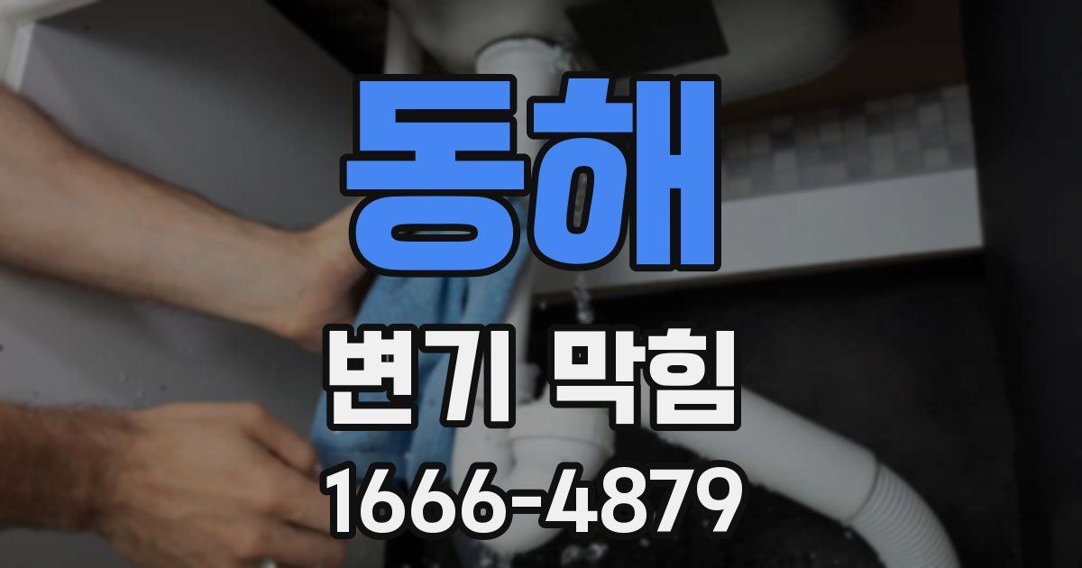 동해 변기 막힘