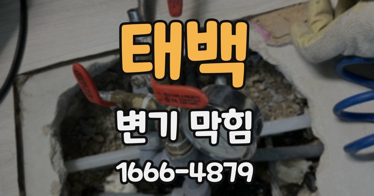 태백 변기 막힘
