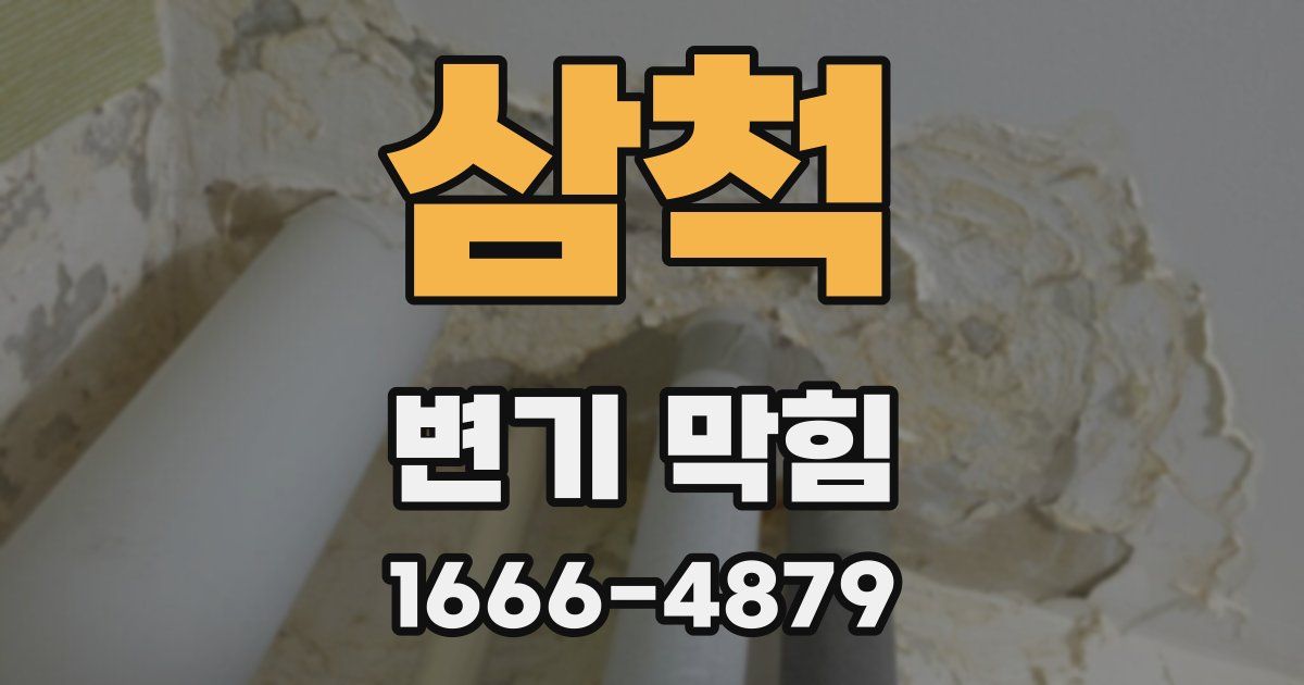 삼척 변기 막힘