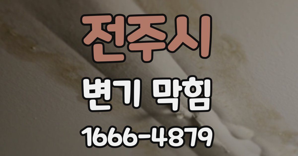 전주시 변기 막힘