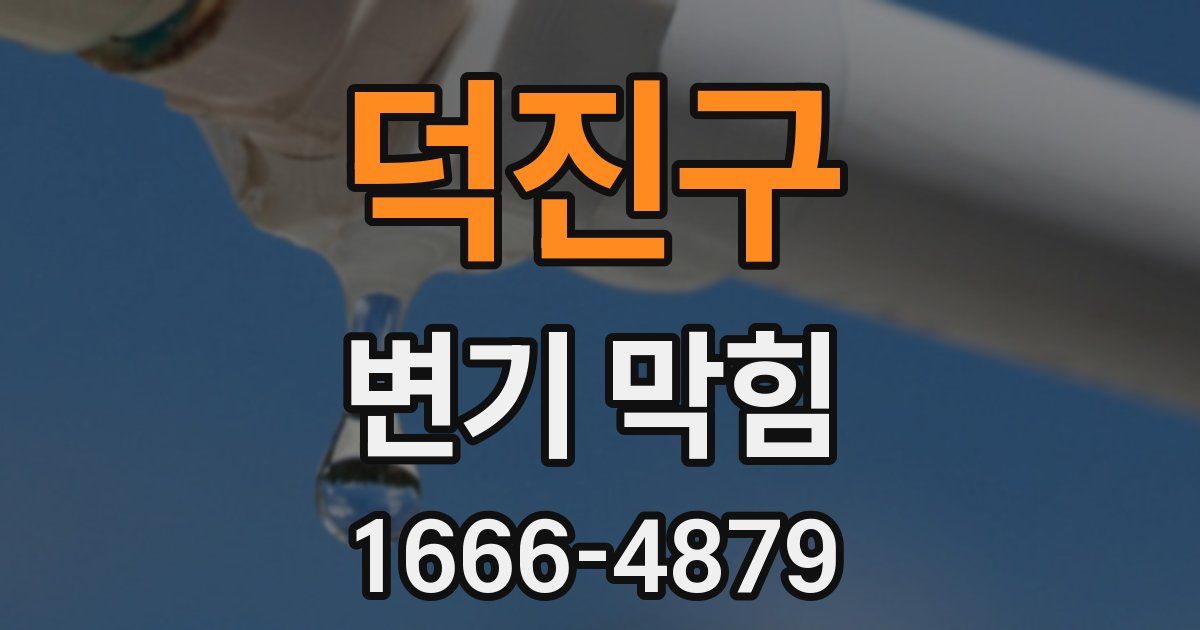 덕진구 변기 막힘