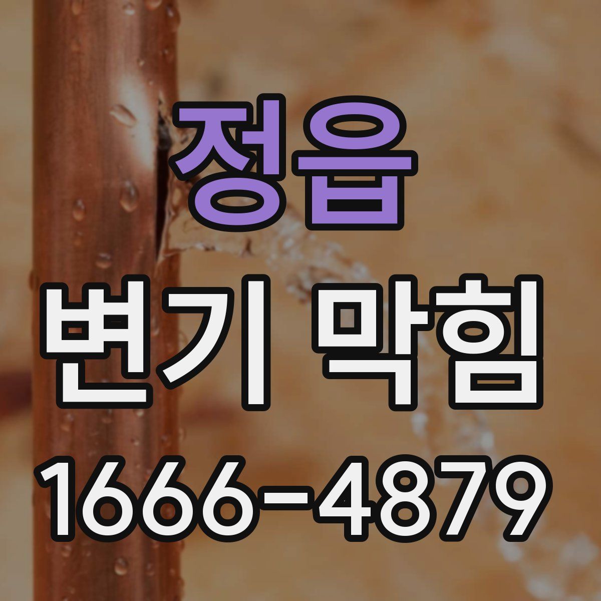 정읍 변기 막힘