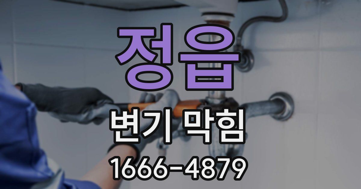 정읍 변기 막힘