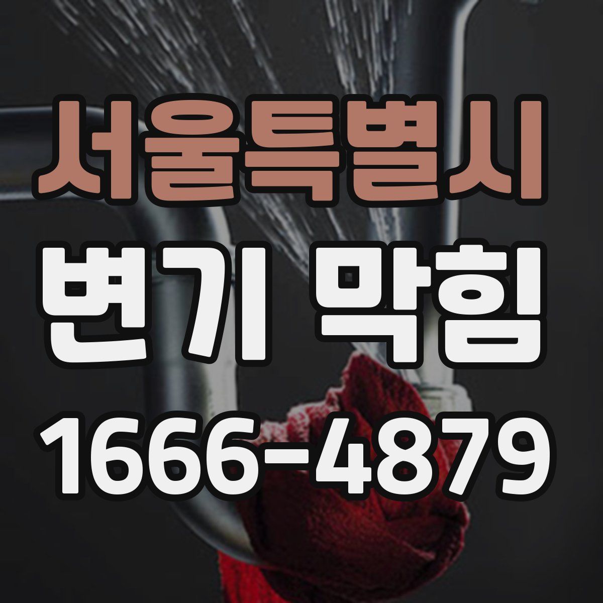 서울특별시 변기 막힘