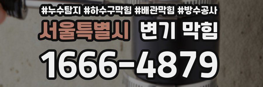 서울특별시 변기 막힘