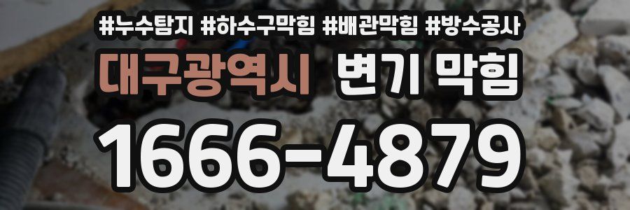 대구광역시 변기 막힘