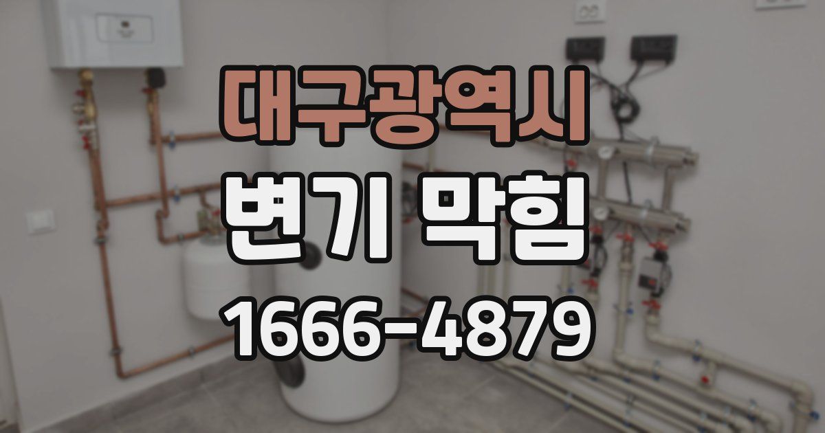 대구광역시 변기 막힘