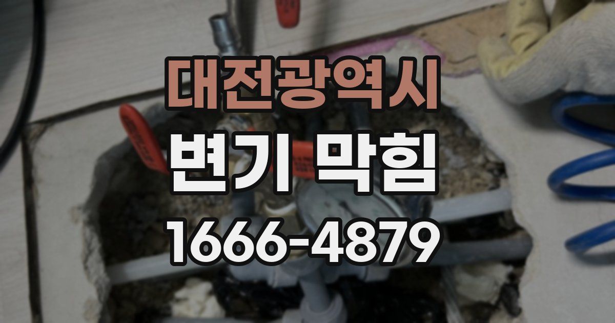 대전광역시 변기 막힘