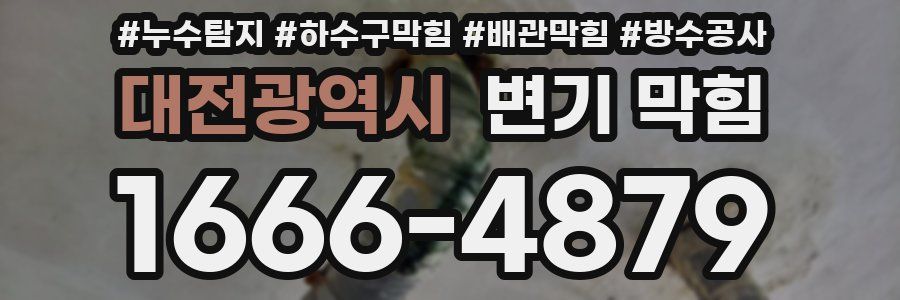 대전광역시 변기 막힘