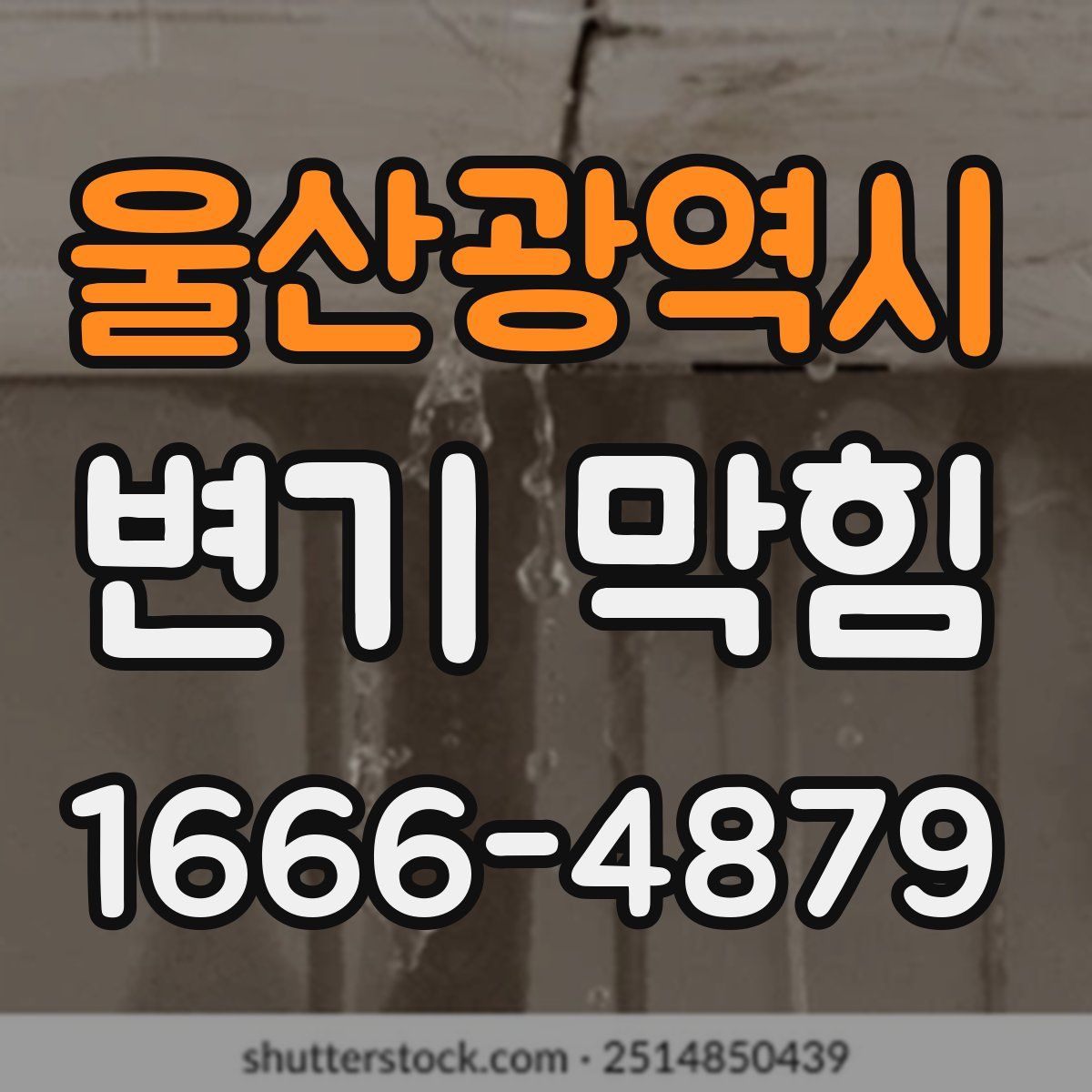 울산광역시 변기 막힘