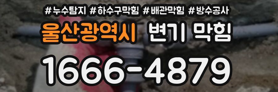울산광역시 변기 막힘
