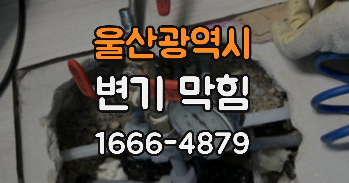 울산광역시 변기 막힘