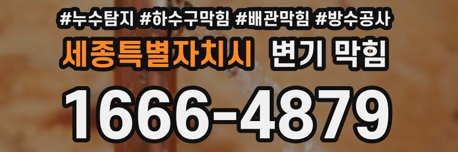 세종특별자치시 변기 막힘