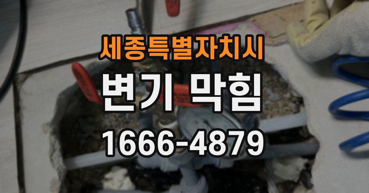 세종특별자치시 변기 막힘