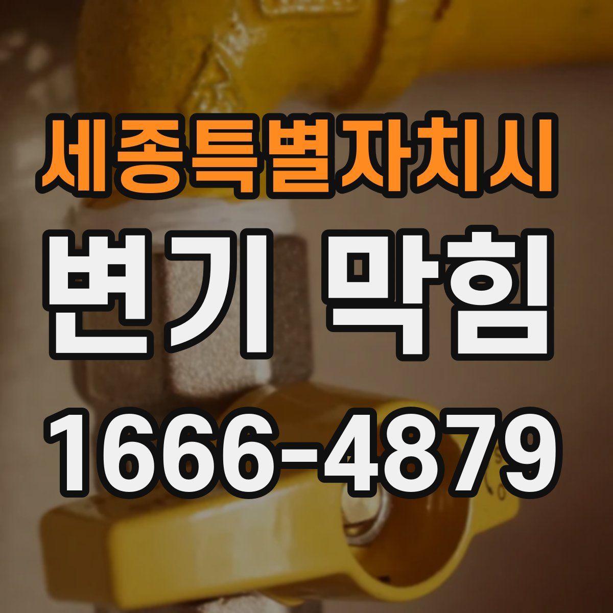 세종특별자치시 변기 막힘