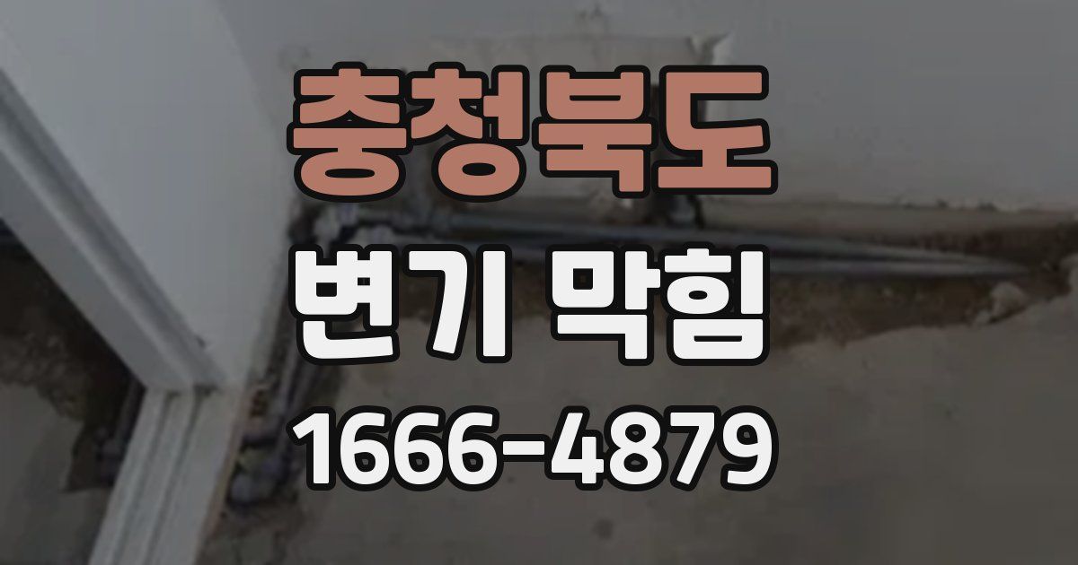 충청북도 변기 막힘