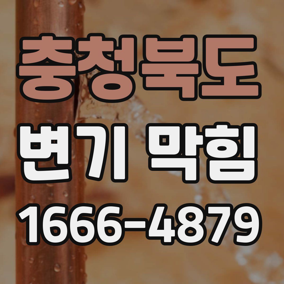 충청북도 변기 막힘