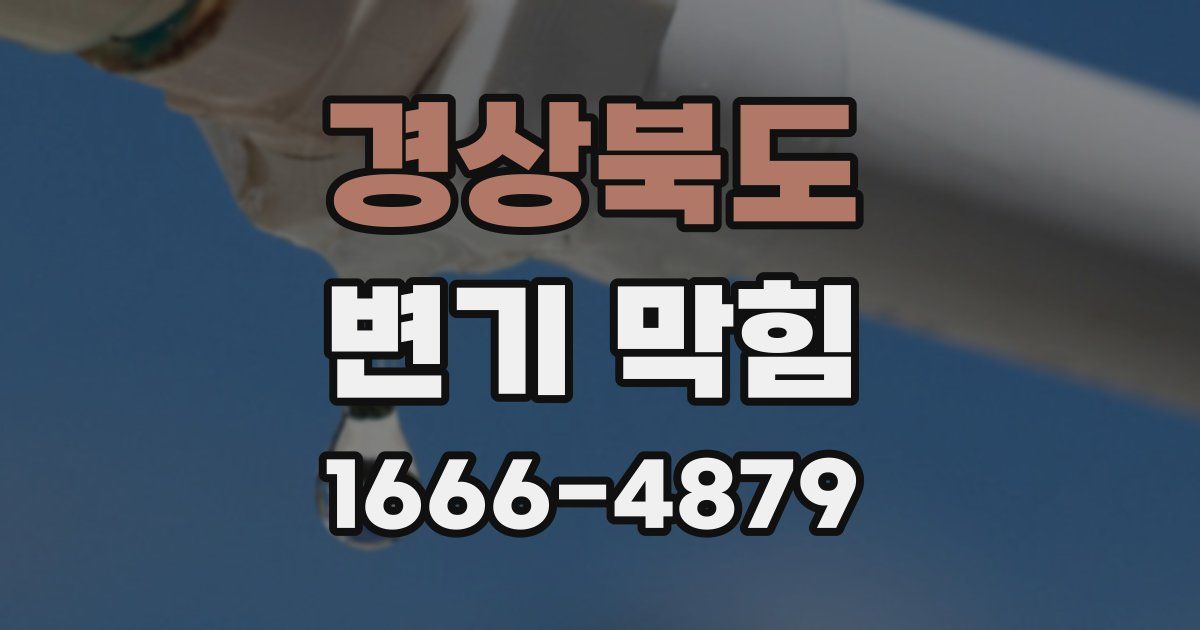 경상북도 변기 막힘