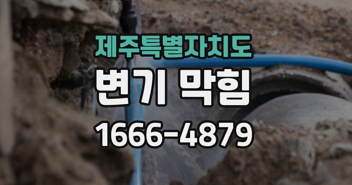 제주특별자치도 변기 막힘