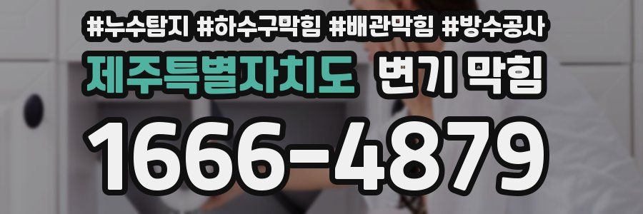 제주특별자치도 변기 막힘