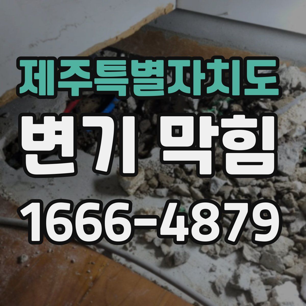 제주특별자치도 변기 막힘