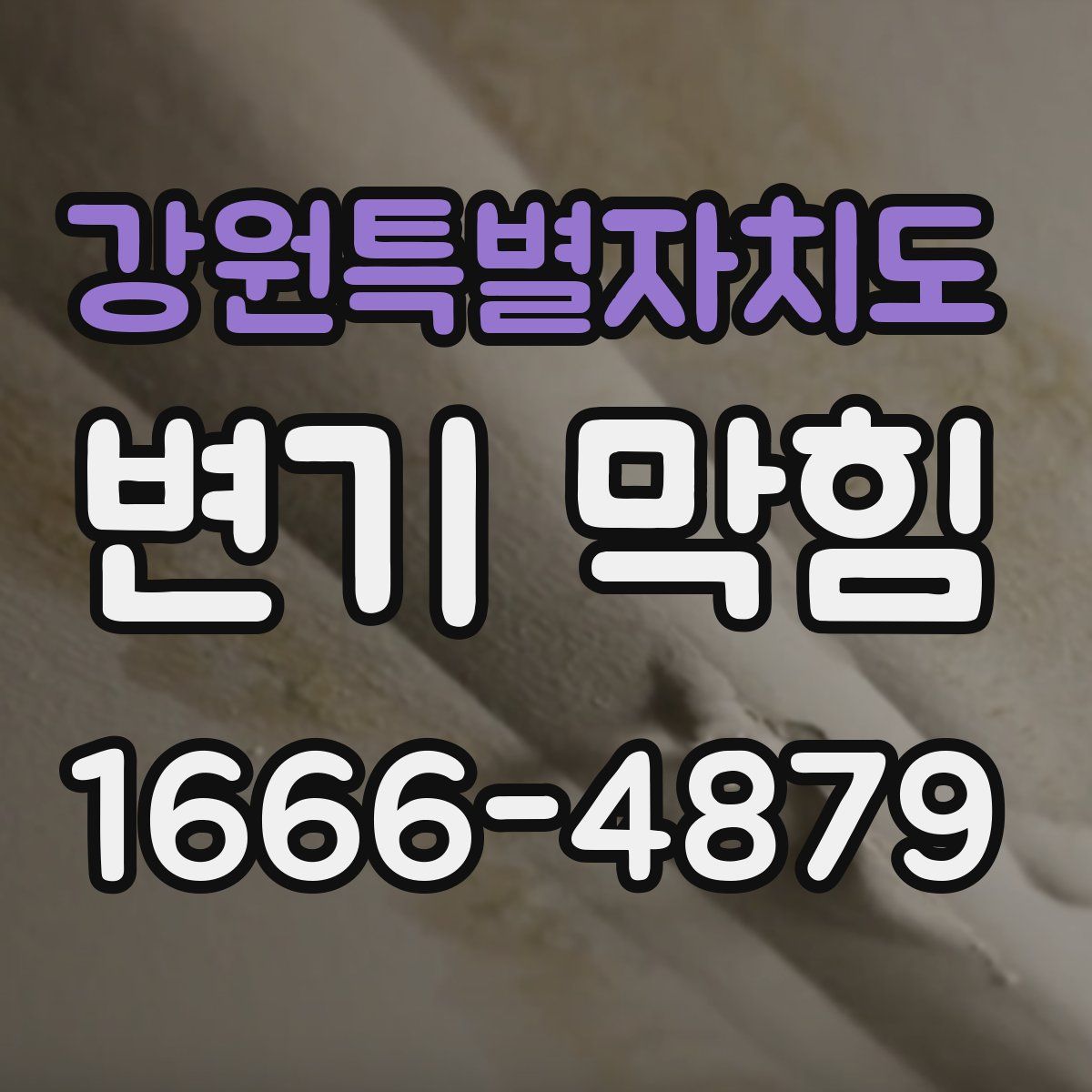 강원특별자치도 변기 막힘