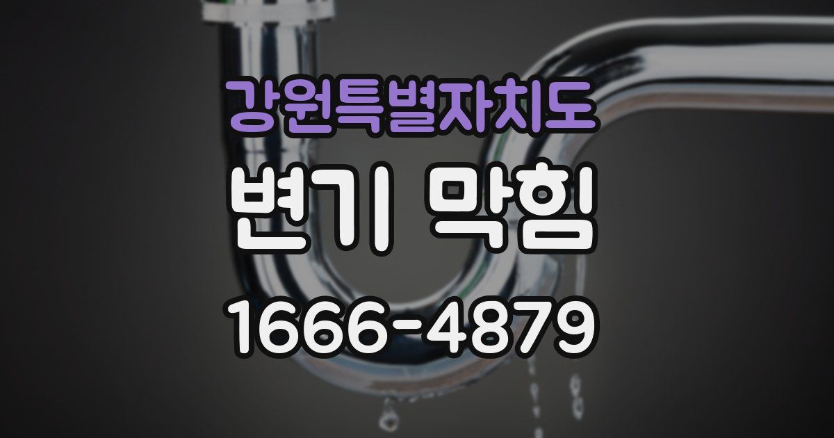강원특별자치도 변기 막힘
