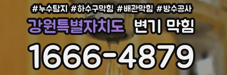 강원특별자치도 변기 막힘