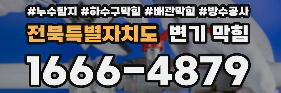 전북특별자치도 변기 막힘