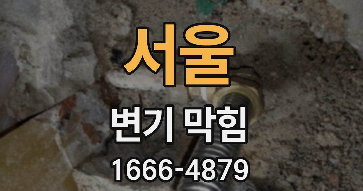 서울 변기 막힘