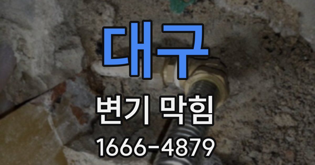 대구 변기 막힘