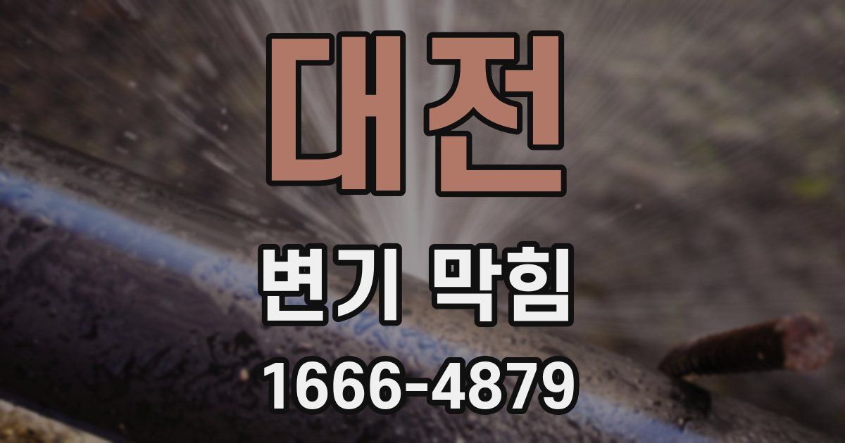 대전 변기 막힘