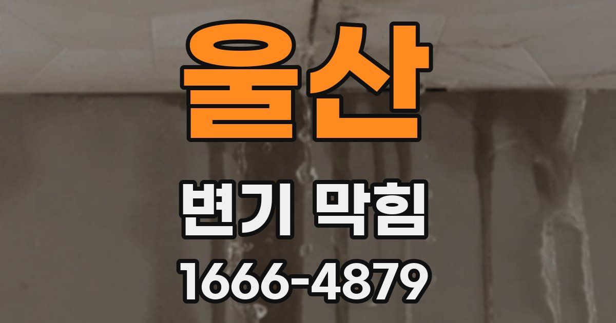 울산 변기 막힘