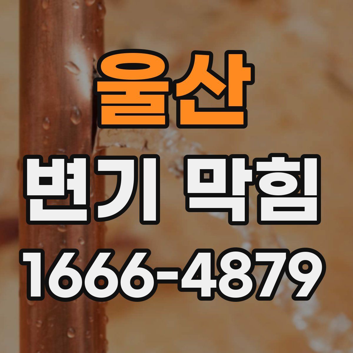 울산 변기 막힘