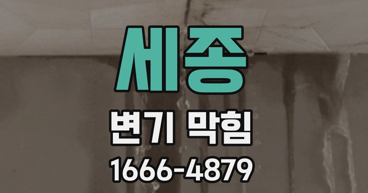 세종 변기 막힘