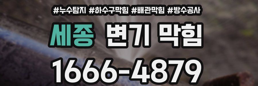 세종 변기 막힘