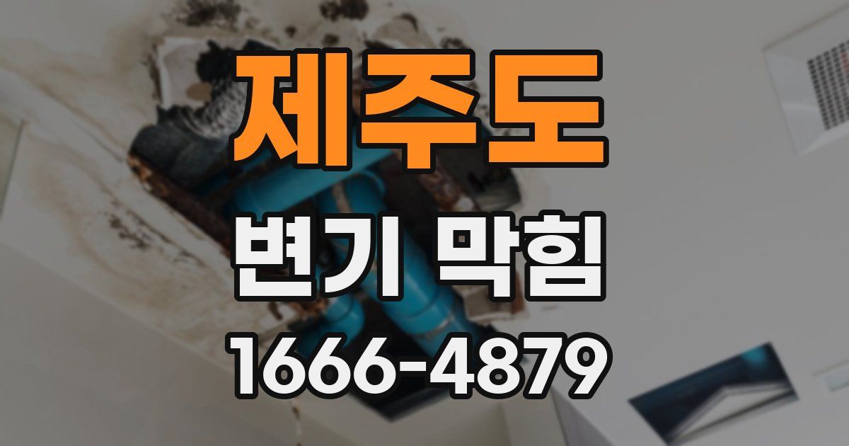 제주도 변기 막힘