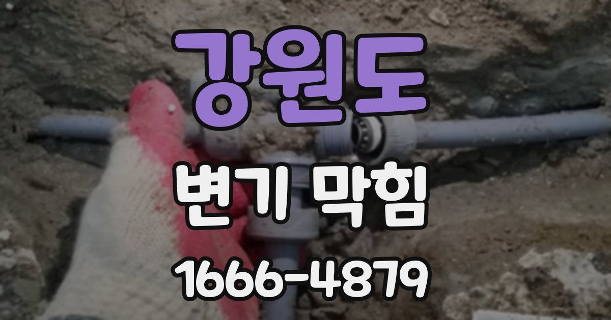 강원도 변기 막힘